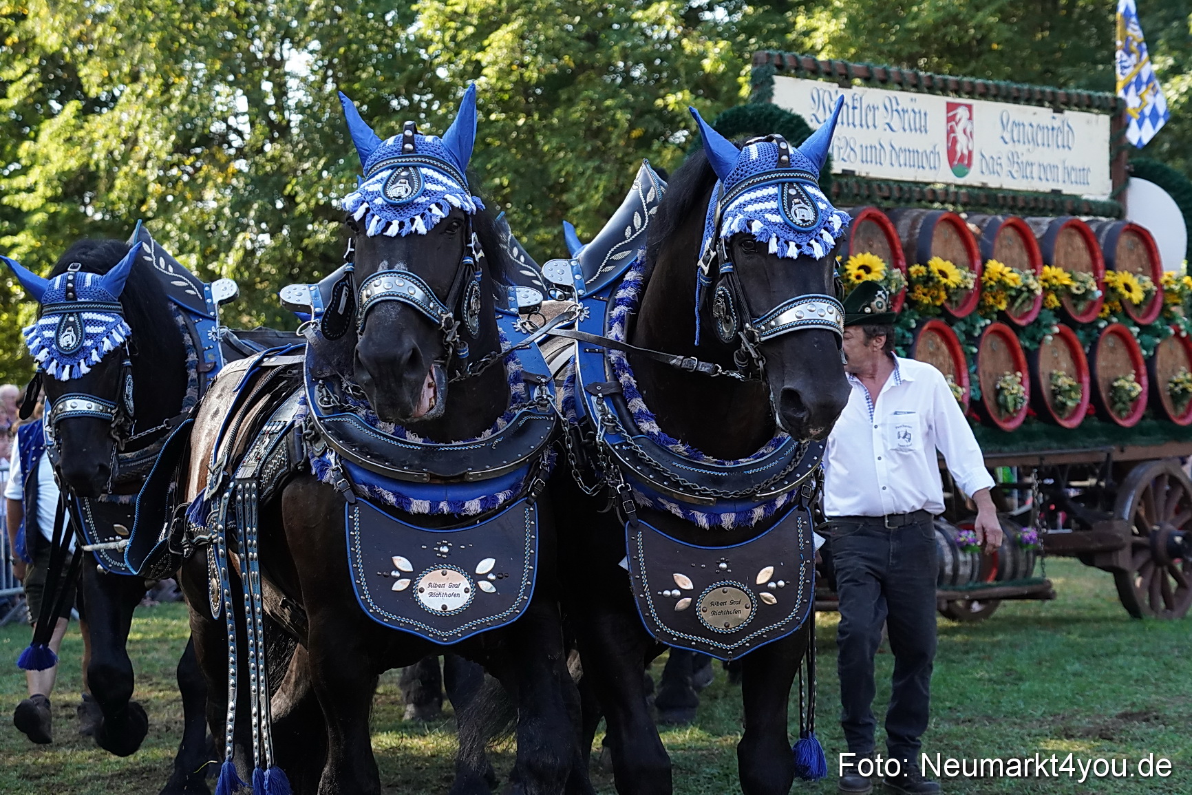 Pferde und Fohlenschau 2022 0065 